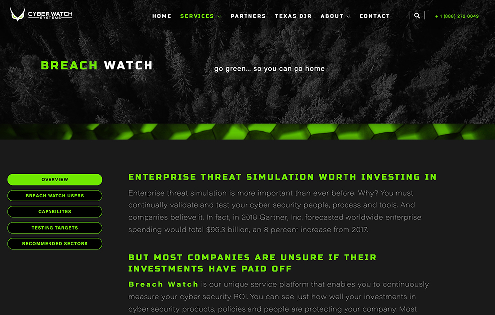 Cyber Watch Systems page 2